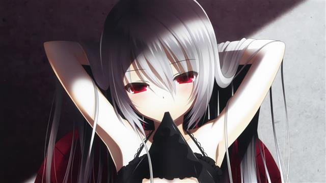 anime girl character with white hair, silver hair, red eyes, long hair, HD wallpaper