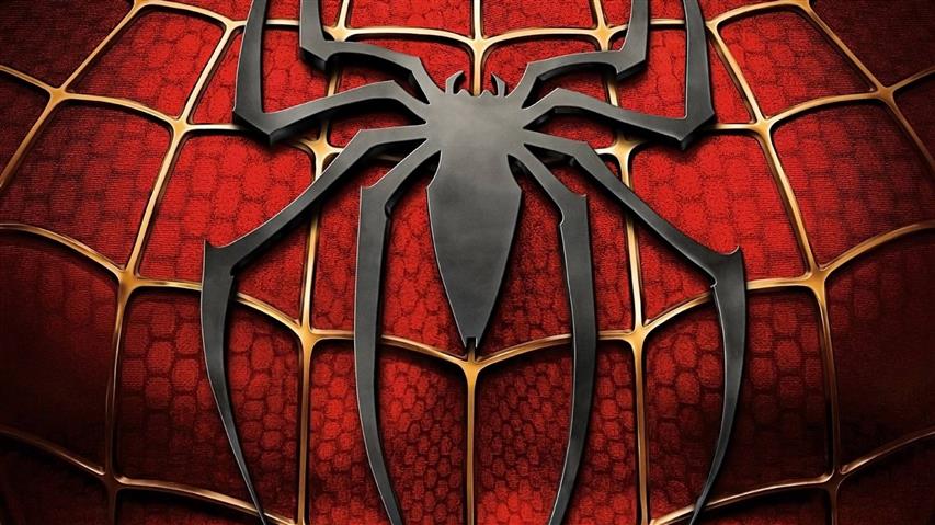 Marvel Spider-Man logo, Marvel Comics, red, pattern, no people, HD wallpaper