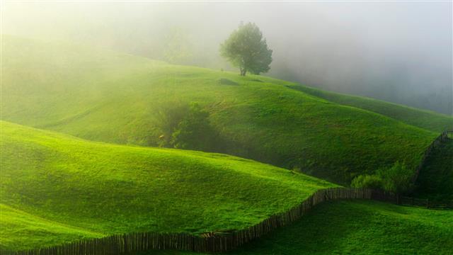 green mountain and trees, nature, landscape, hills, mist, field, HD wallpaper