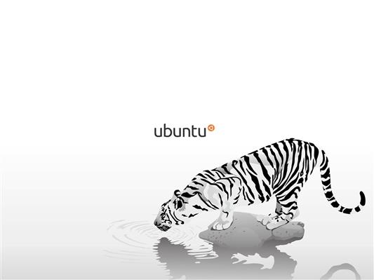 white tiger illustration, Linux, GNU, Ubuntu, western script, HD wallpaper