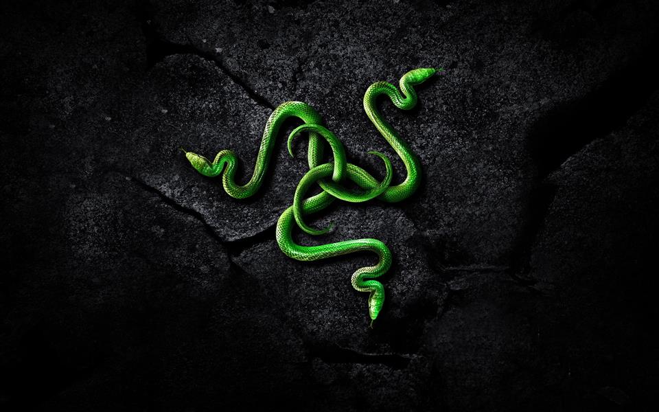 Razer Brand Logo, technology, snake, art, HD wallpaper