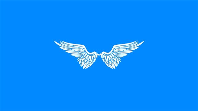 white wings wallpaper, simple, minimalism, angel, blue, blue background, HD wallpaper