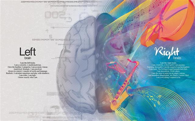 creative, paint, science, brain, creativity, art, hemisphere, HD wallpaper