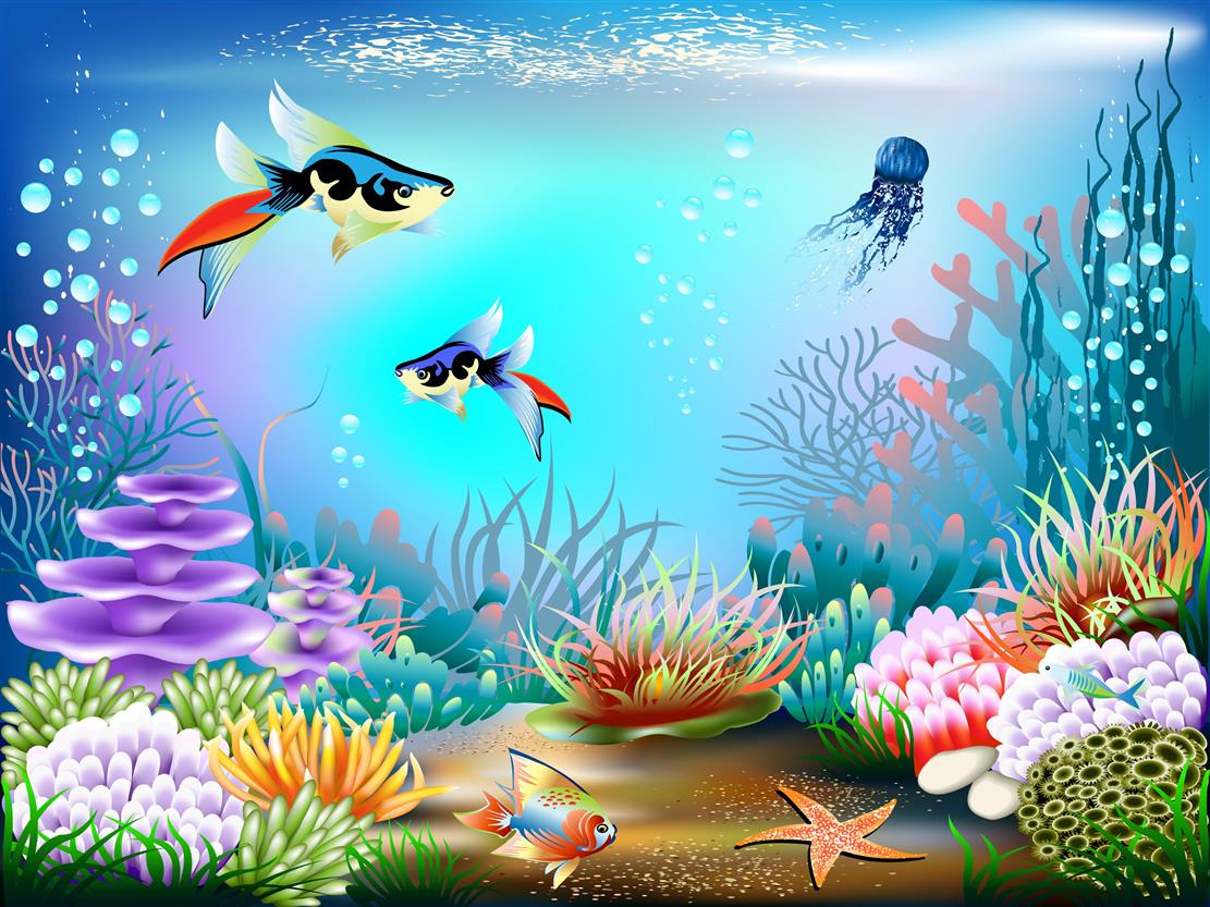 three fished in water illustration, bubbles, vector, corals, underwater world, HD wallpaper