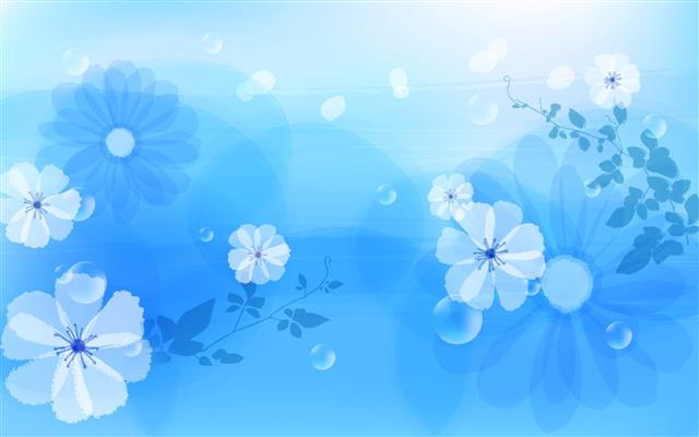 blue and white floral wallpaper, flowers, abstract, background, HD wallpaper