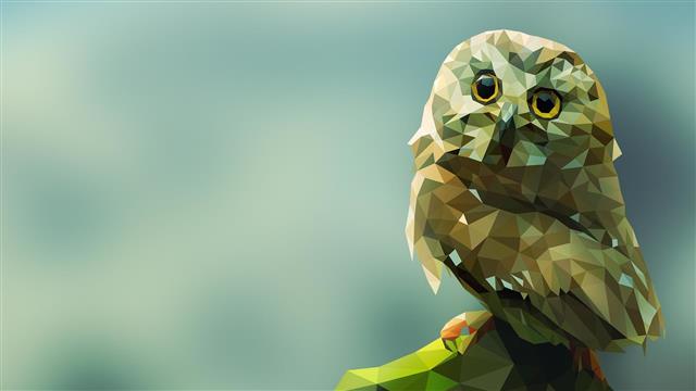 bird, owl, polygonal, low poly, low poly art, geometry, HD wallpaper
