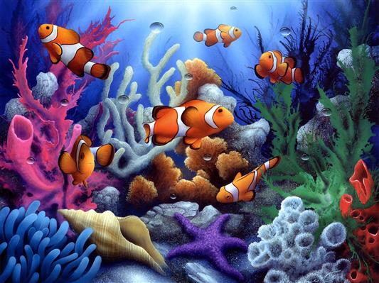 Colorful underwater coral and fish, HD wallpaper