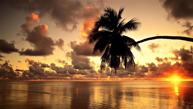 sunset clouds nature beach palm trees coconut tree mauritius 1920x1080 Nature Beaches HD Art, HD wallpaper
