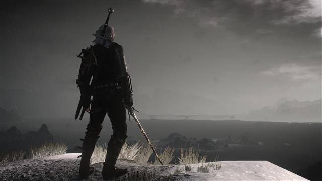1920x1080 px Geralt Of Rivia The Witcher The Witcher 3: Wild Hunt Animals Frogs HD Art, HD wallpaper