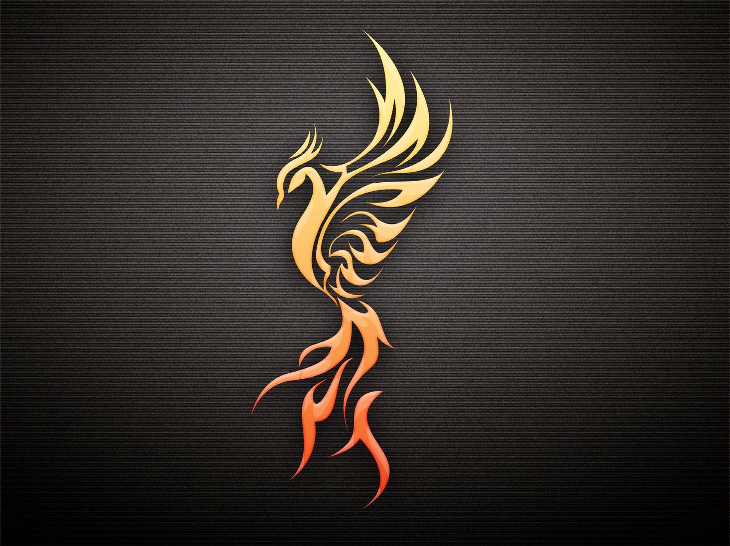 bird, profile, Phoenix, the dark background, HD wallpaper