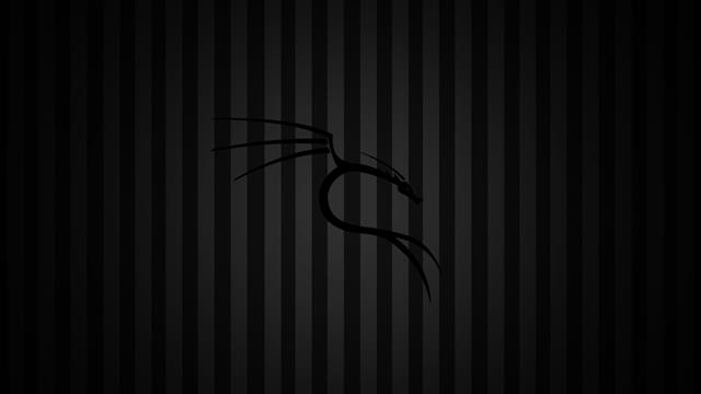 black dragon illustration, Kali Linux, Kali Linux NetHunter, indoors, HD wallpaper