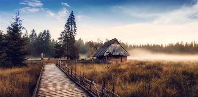 house near trees, nature, landscape, cabin, mist, fall, forest, HD wallpaper