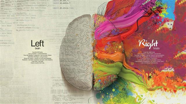 brain, creativity, splitting, painting, colorful, mathematics, HD wallpaper