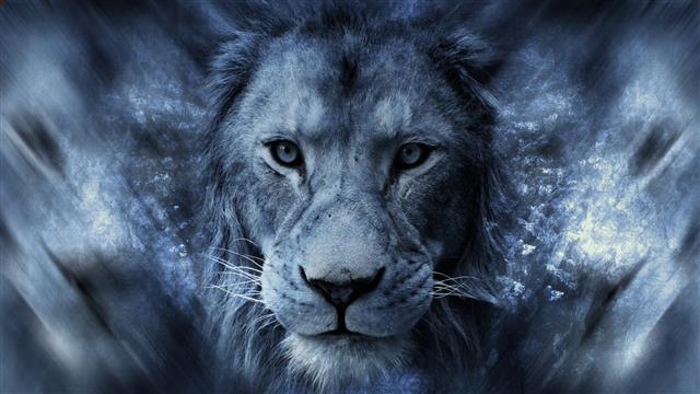 male lion digital wallpaper, animals, Africa, blue, big cats, HD wallpaper