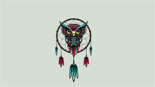 owl, dream catcher, graphic design, illustration, art, feather, HD wallpaper