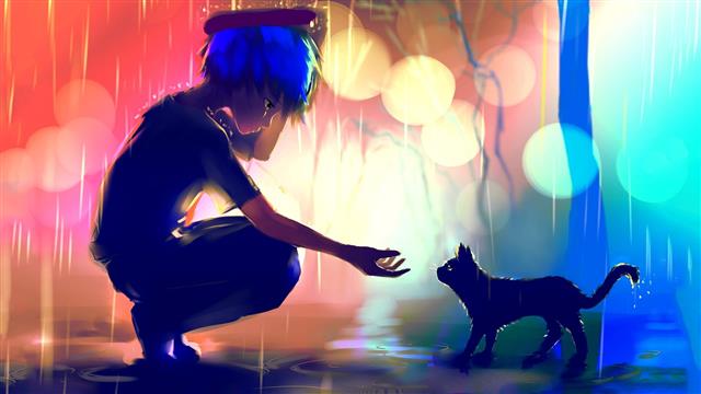 boy in the rain about to hold the cat digital wallpaper, blue haired anime boy painting, HD wallpaper