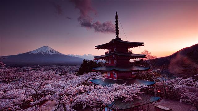 Mount Fuji, Japan, brown and white pagoda, cherry blossom, pink, HD wallpaper