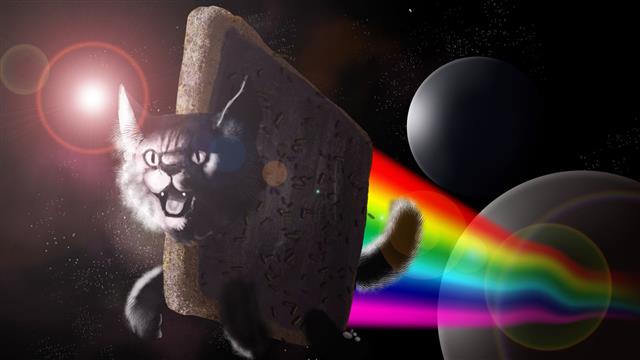 Nyan cat, digital art, space art, animals, colorful, humor, LSD, HD wallpaper