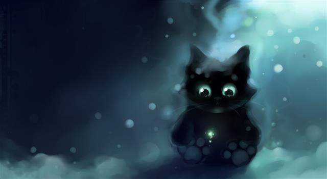 Magic Sparkles, black cat illustration, Artistic, Fantasy, Beautiful, HD wallpaper