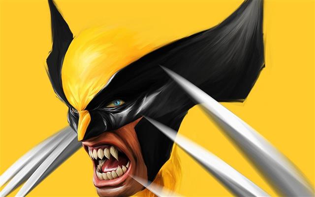 Marvel Wolverine digital wallpaper, Marvel Comics, adamantium, HD wallpaper