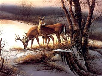 two brown deer painting, animals, nature, Terry Redlin, artwork, HD wallpaper