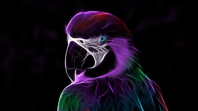 abstract, digital art, parrot, light, artwork, darkness, beak, HD wallpaper