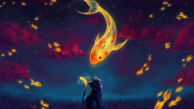 sky, darkness, fish, cat, fantasy art, night, illustration, HD wallpaper