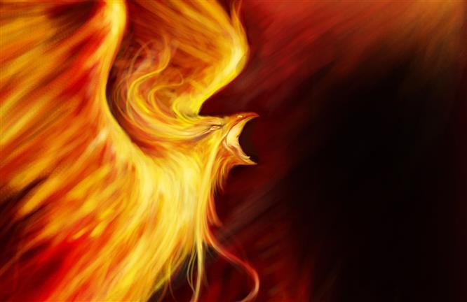 phoenix illustration, fire, bird, fantasy, art, abstract, red, HD wallpaper