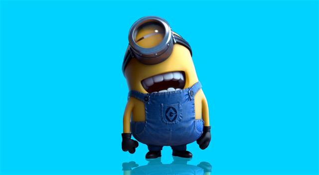 Minions, Despicable Me poster, Funny, blue, colored background, HD wallpaper