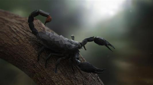 black scorpion, nature, animals, trees, digital art, scorpions, HD wallpaper