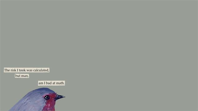 Humor, Minimalism, Bird, Sentence, Simple Background, HD wallpaper