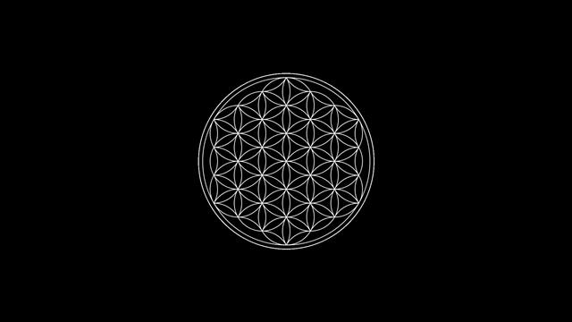 black background, circle, Flower Of Life, minimalism, Sacred Geometry, HD wallpaper