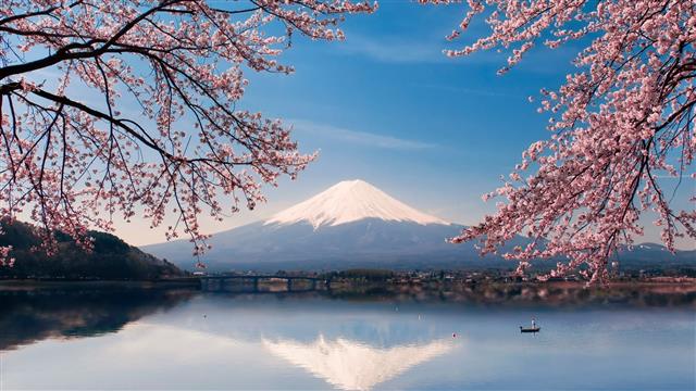 nature, sky, reflection, cherry blossom, lake, tree, mount scenery, HD wallpaper