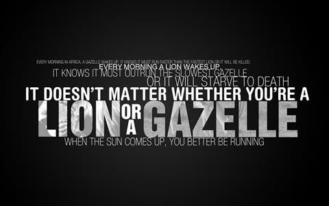 lion or a gazelle quote sign, inspirational, typography, text, HD wallpaper
