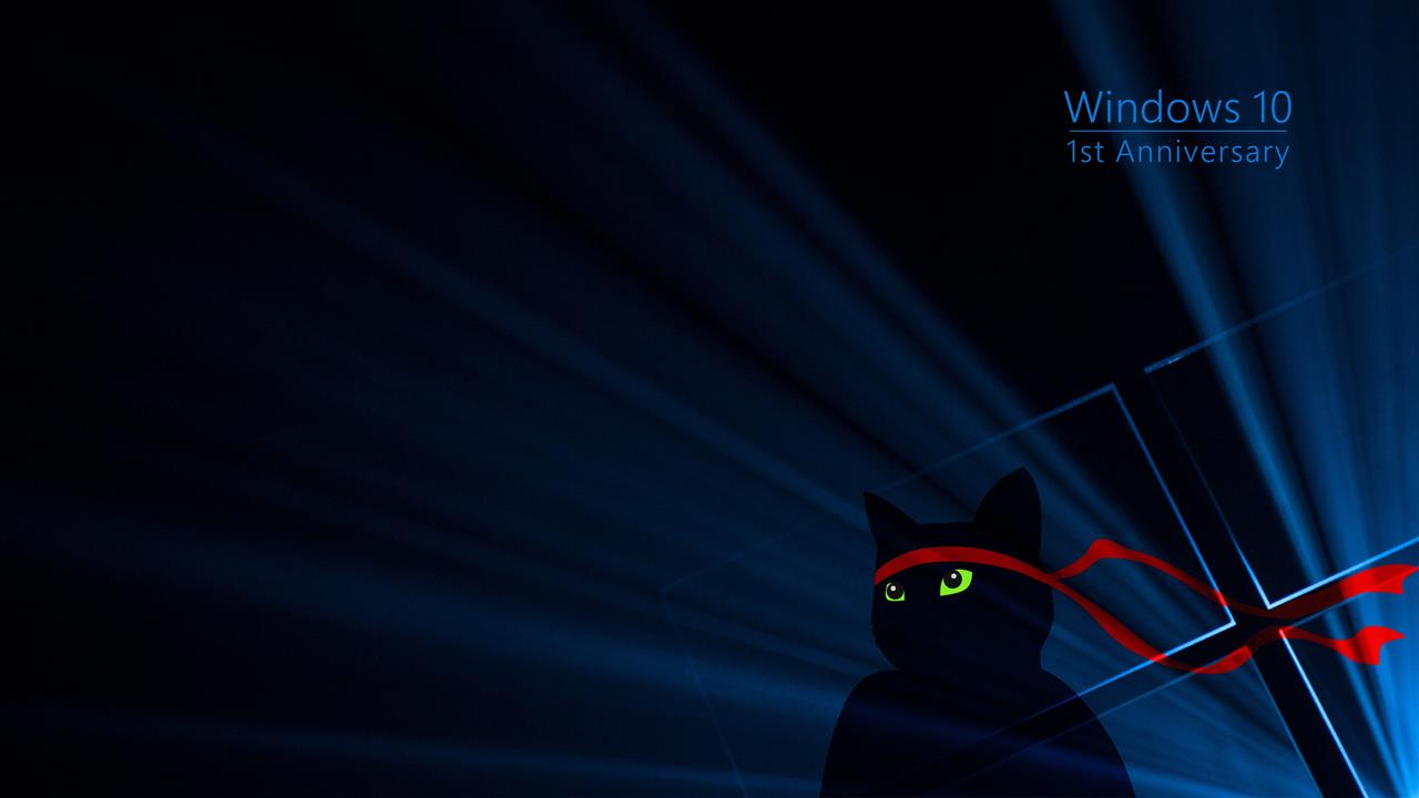 Windows 10 1st Anniversary illustration, cat, green, red, blue, HD wallpaper