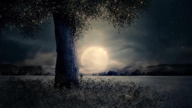 sky, full moon, nature, darkness, freezing, tree, night, cloud, HD wallpaper
