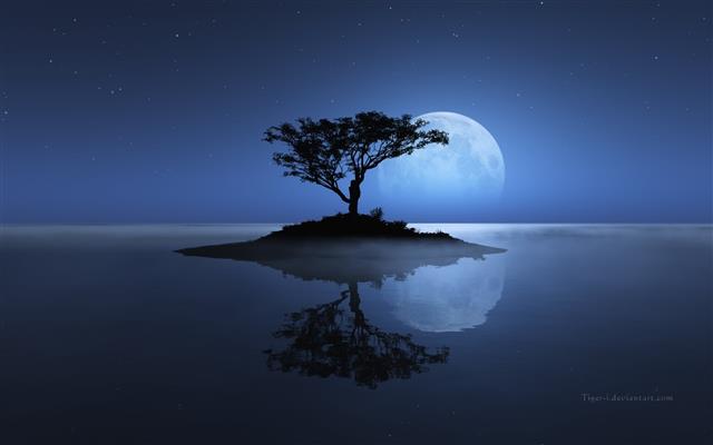 tree under full moon wallpaper, Trees, Blue, Dark, Island, Night, HD wallpaper