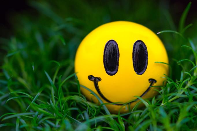 yellow emoji ball, grass, macro, smile, smiley, plant, close-up, HD wallpaper