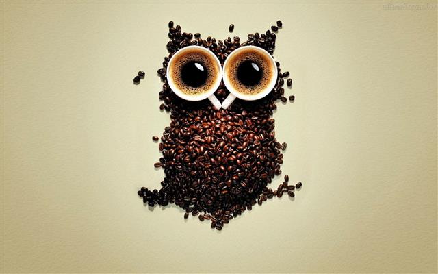 Coffee Owl, brown coffee bean owl illustration, Art And Creative, HD wallpaper