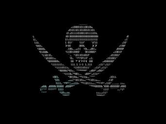 pirate code illustration, Technology, Hacker, Binary, studio shot, HD wallpaper