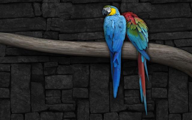 Blue-and-yellow and a scarlet macaw, 2 birds, digital art, 1920x1200, HD wallpaper