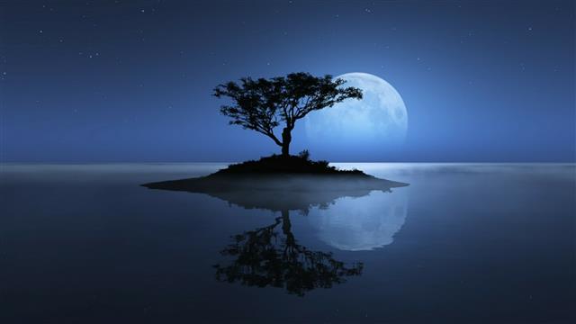 lone tree, island, stars, night sky, lonely tree, starry night, HD wallpaper