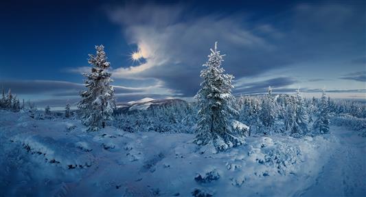 snow covered trees, landscape, nature, forest, winter, cold, Sun, HD wallpaper
