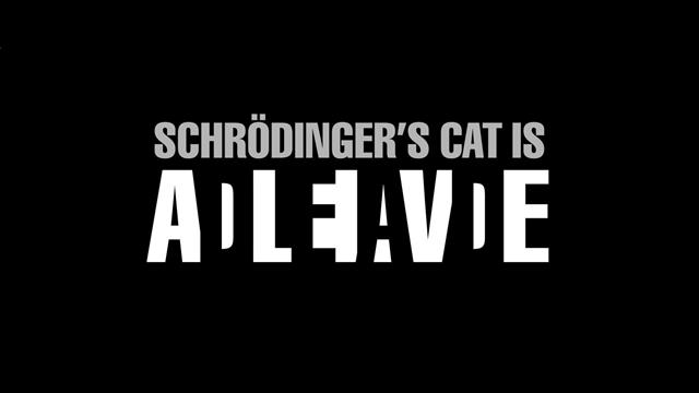 Schrodinger Cat, artwork, black background, science, Schrödinger, HD wallpaper