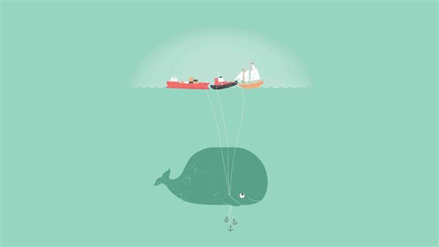 boats and whale illustration, whale shark, minimalism, transportation, HD wallpaper