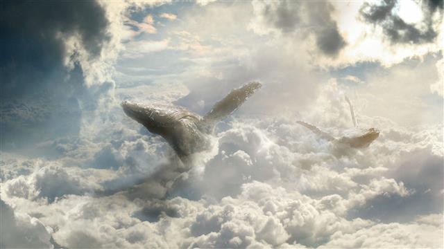 whale on clouds fan art, fantasy art, sky, cloud - sky, animals in the wild, HD wallpaper