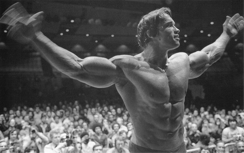 Arnold Schwarzenegger, Barbell, Bodybuilder, bodybuilding, Dumbbells, HD wallpaper