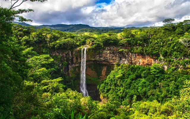 Waterfall Jungle Forest HD, nature, HD wallpaper