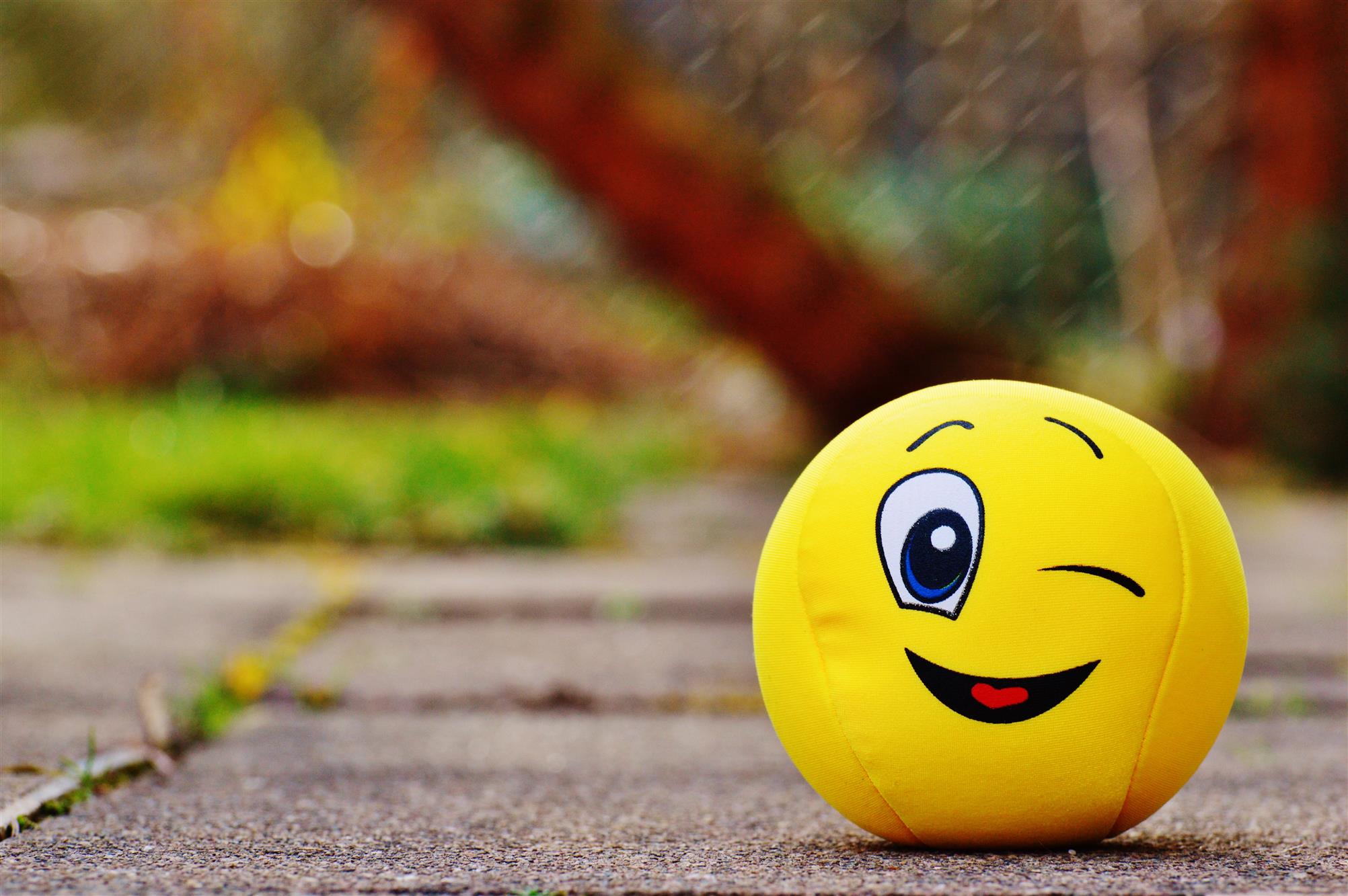yellow emoji decorative ball, smile, happy, toy, nature, autumn, HD wallpaper