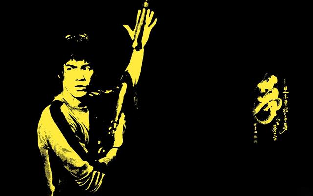 Bruce Lee enter the dragon wallpaper, Actors, illustration, people, HD wallpaper